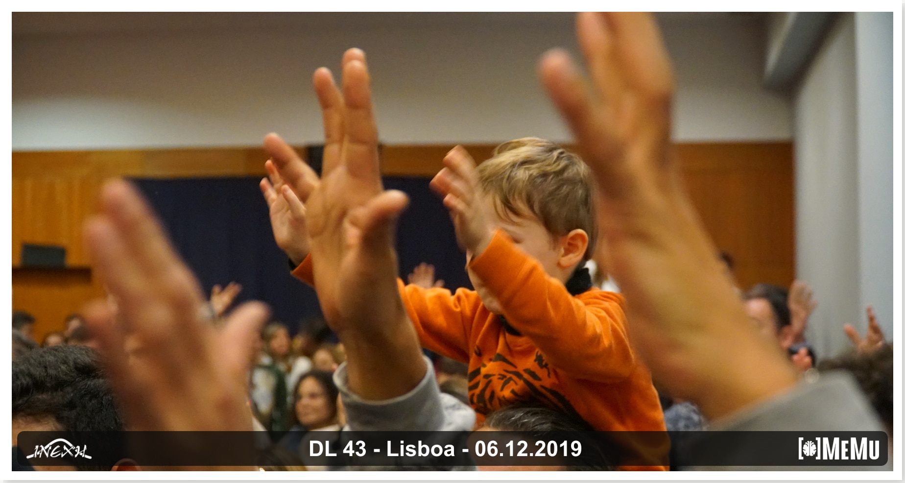 DL 43 - foto 6